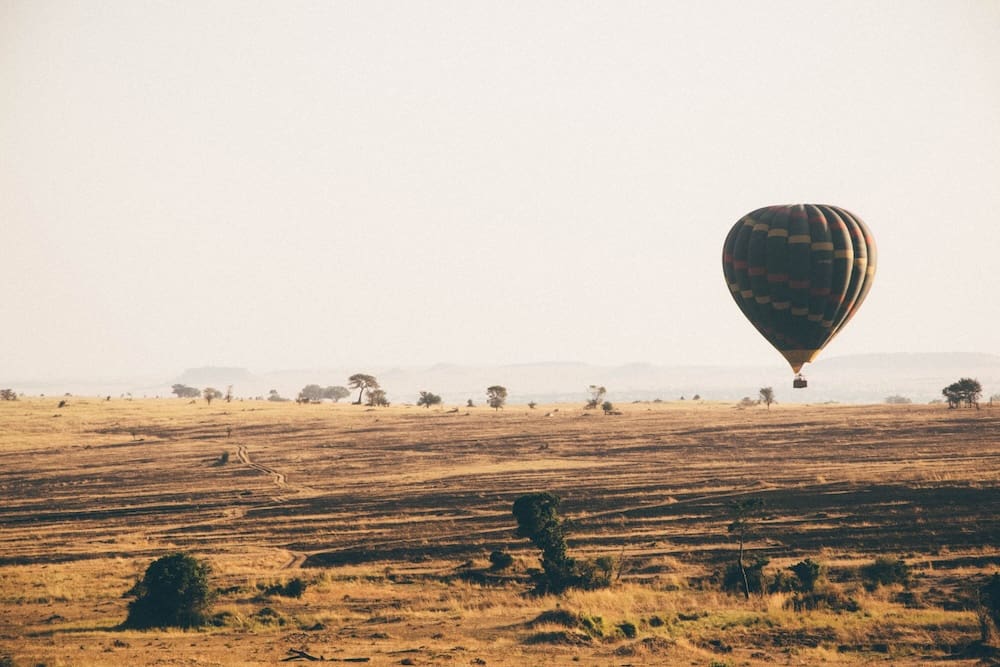 Serengeti